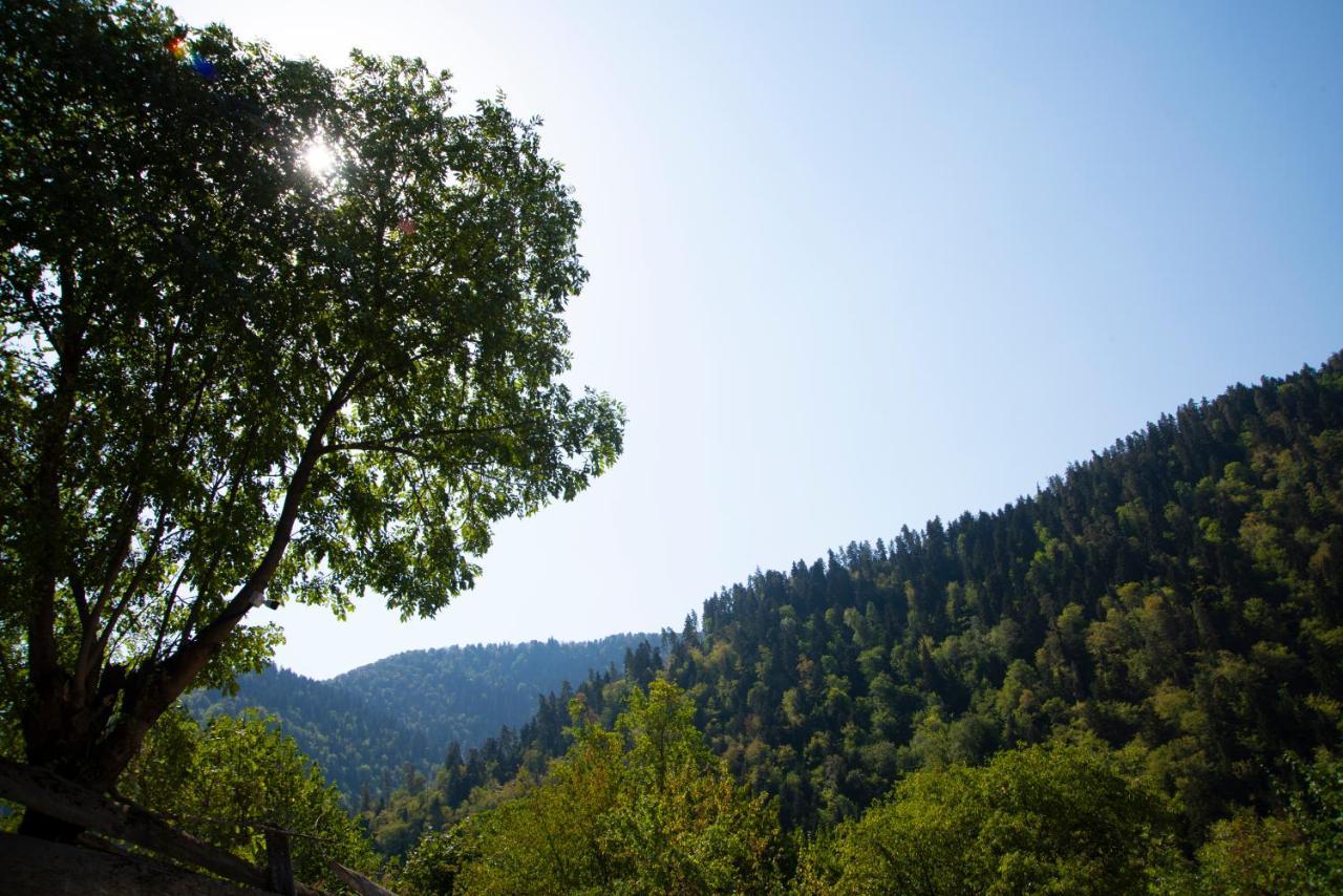 Landhaus Borjomi Dış mekan fotoğraf