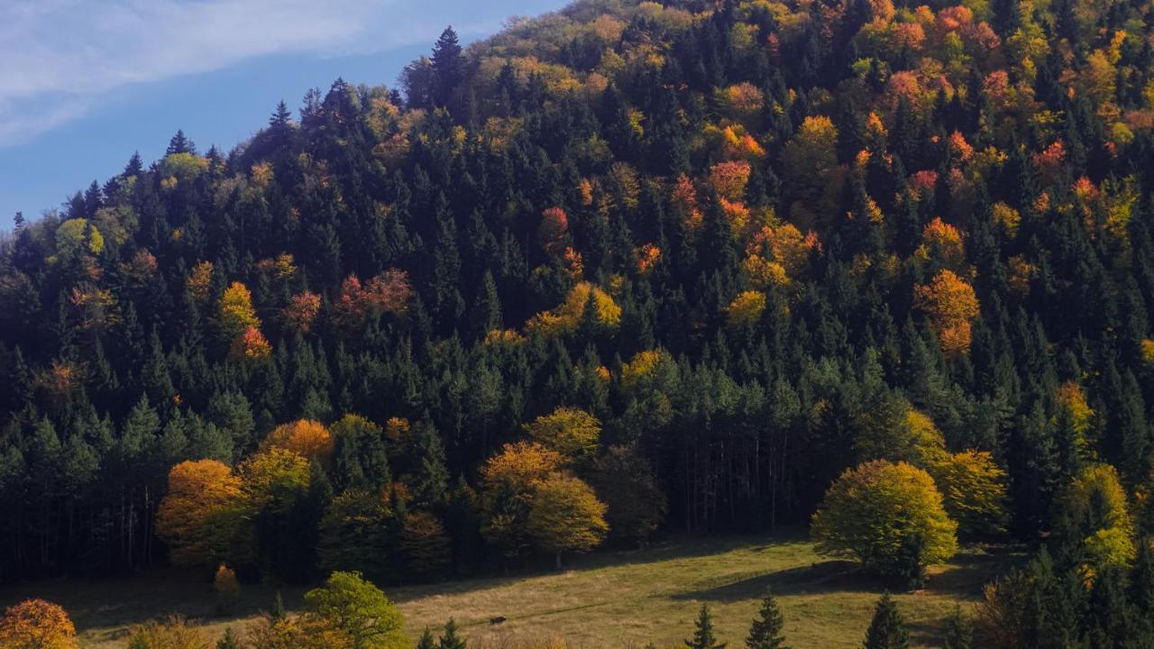 Landhaus Borjomi Dış mekan fotoğraf