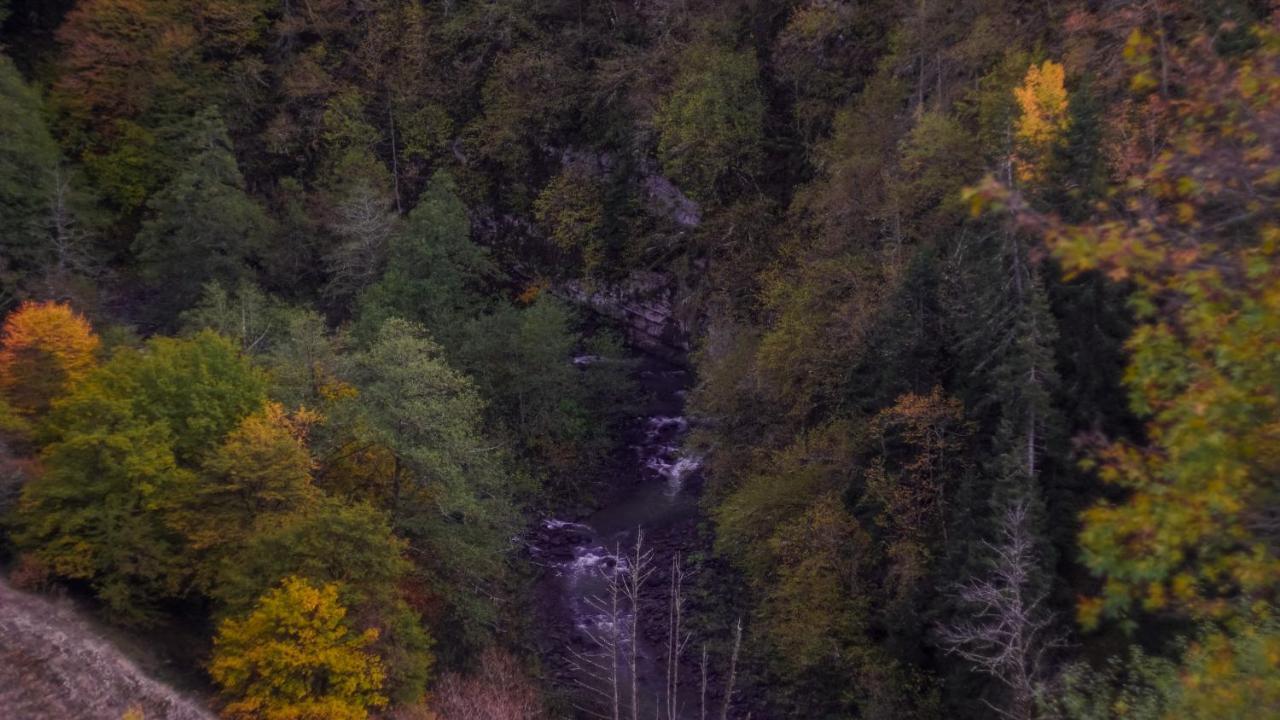 Landhaus Borjomi Dış mekan fotoğraf