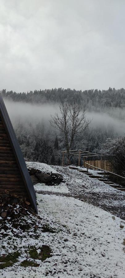 Landhaus Borjomi Dış mekan fotoğraf