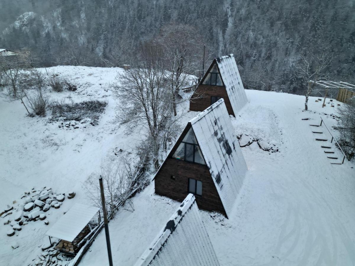 Landhaus Borjomi Dış mekan fotoğraf