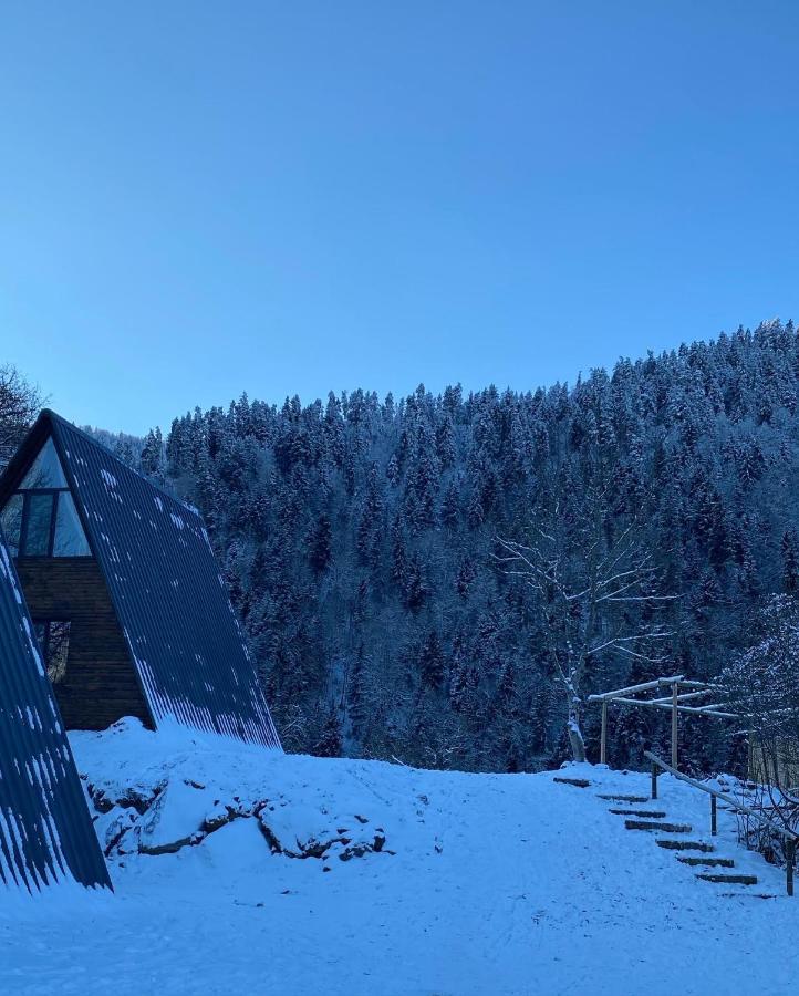 Landhaus Borjomi Dış mekan fotoğraf