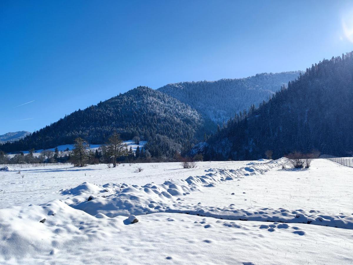 Landhaus Borjomi Dış mekan fotoğraf