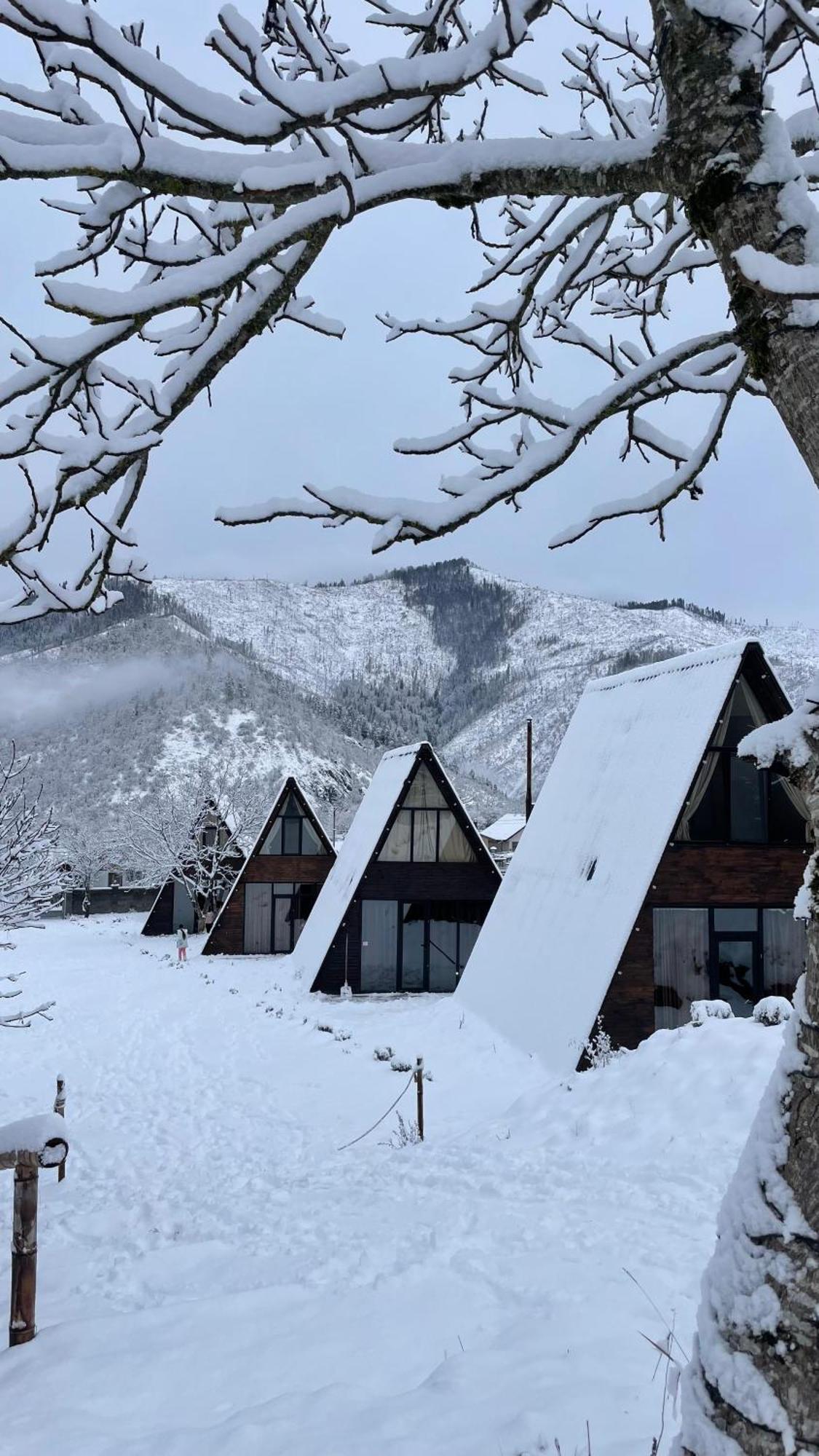 Landhaus Borjomi Dış mekan fotoğraf